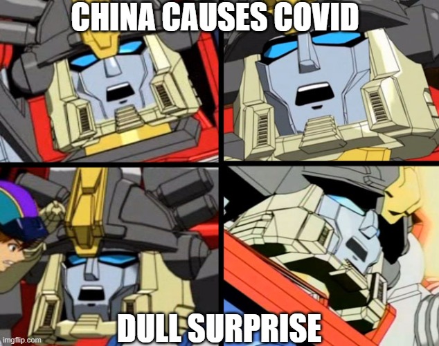 Covid - The dull surprise. | CHINA CAUSES COVID; DULL SURPRISE | image tagged in covid-19 | made w/ Imgflip meme maker