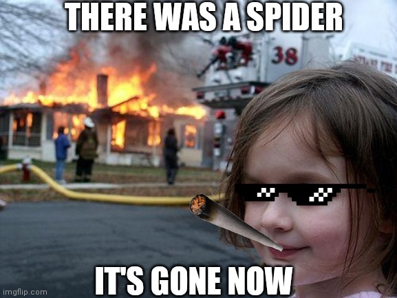 Disaster Girl Meme | THERE WAS A SPIDER; IT'S GONE NOW | image tagged in memes,disaster girl | made w/ Imgflip meme maker
