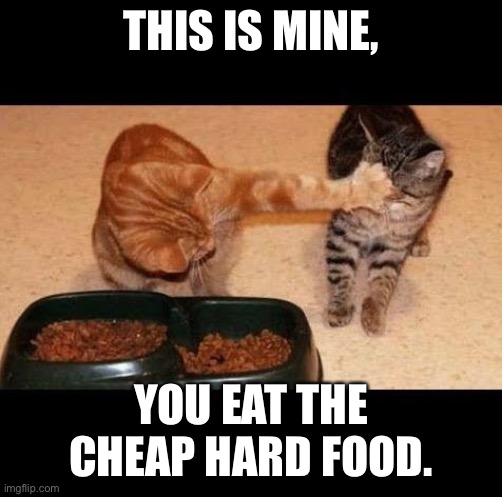 cats share food | THIS IS MINE, YOU EAT THE CHEAP HARD FOOD. | image tagged in cats share food | made w/ Imgflip meme maker