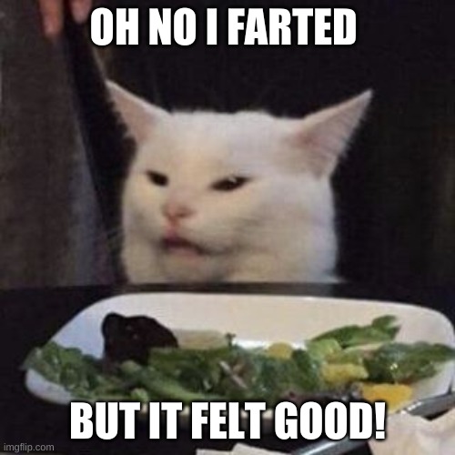 farting cat | OH NO I FARTED; BUT IT FELT GOOD! | image tagged in funny cats | made w/ Imgflip meme maker