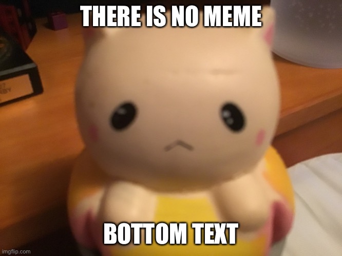 THERE IS NO MEME; BOTTOM TEXT | image tagged in memes,cute cat,funny memes,funny,fart | made w/ Imgflip meme maker
