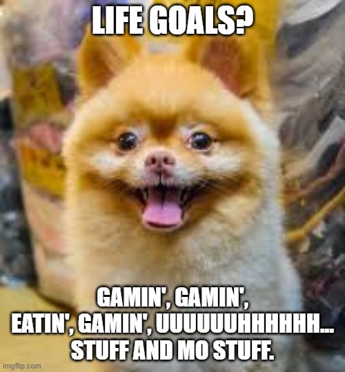 LIFE GOALS? GAMIN', GAMIN', EATIN', GAMIN', UUUUUUHHHHHH... STUFF AND MO STUFF. | image tagged in life goals,video games | made w/ Imgflip meme maker