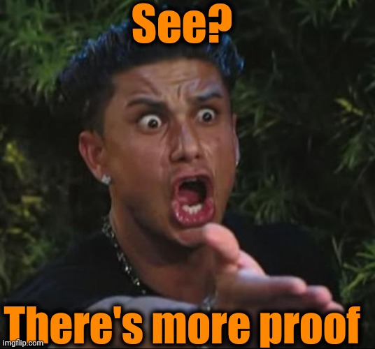 DJ Pauly D Meme | See? There's more proof | image tagged in memes,dj pauly d | made w/ Imgflip meme maker