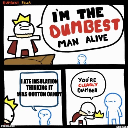 I'm the dumbest man alive | I ATE INSULATION THINKING IT WAS COTTON CANDY | image tagged in i'm the dumbest man alive | made w/ Imgflip meme maker