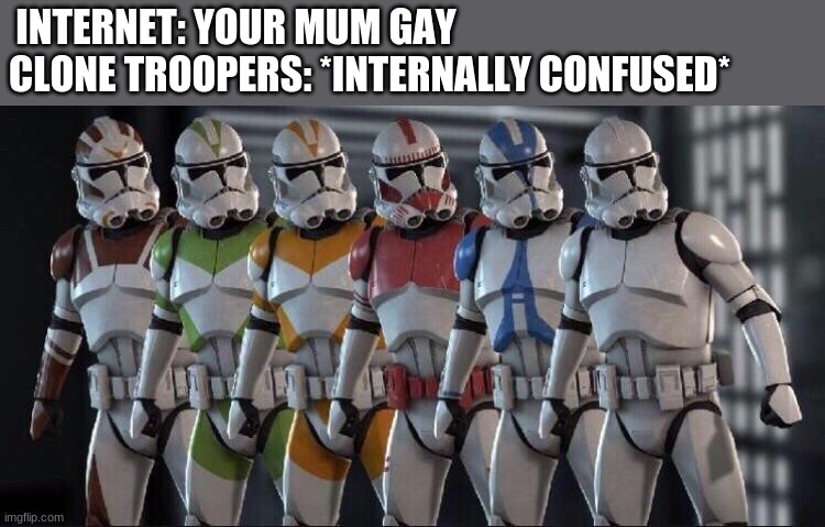 Please give credit to @Spooder_Sam is want to use |  INTERNET: YOUR MUM GAY; CLONE TROOPERS: *INTERNALLY CONFUSED* | image tagged in clone trooper stand next to each other | made w/ Imgflip meme maker