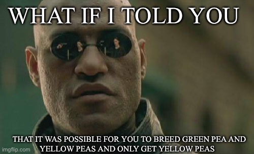 Matrix Morpheus | WHAT IF I TOLD YOU; THAT IT WAS POSSIBLE FOR YOU TO BREED GREEN PEA AND
YELLOW PEAS AND ONLY GET YELLOW PEAS | image tagged in memes,matrix morpheus | made w/ Imgflip meme maker