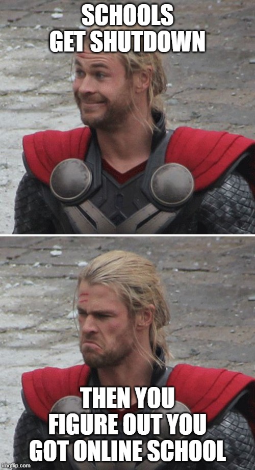 Thor happy then sad | SCHOOLS GET SHUTDOWN; THEN YOU FIGURE OUT YOU GOT ONLINE SCHOOL | image tagged in thor happy then sad | made w/ Imgflip meme maker