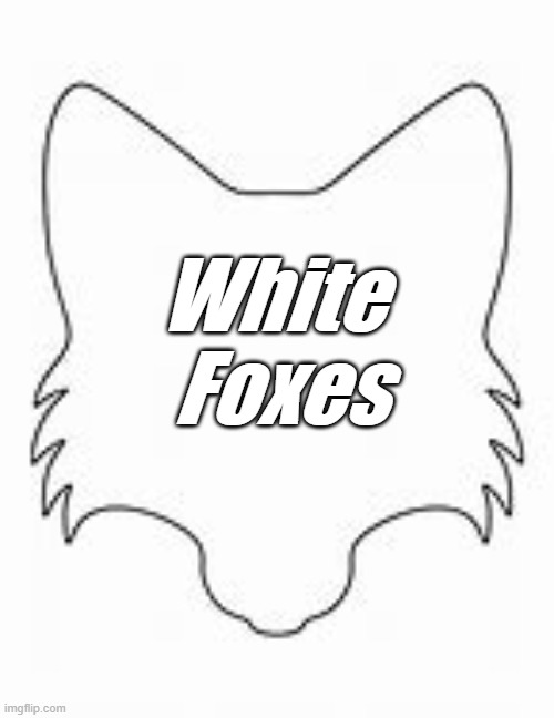 White  Foxes | made w/ Imgflip meme maker