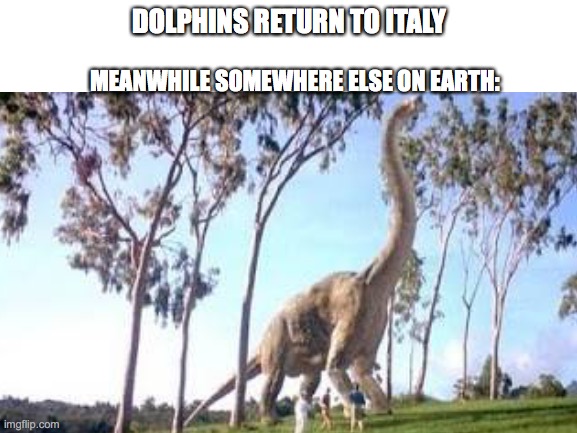*Jurassic Park theme song plays* | DOLPHINS RETURN TO ITALY; MEANWHILE SOMEWHERE ELSE ON EARTH: | image tagged in quarantine | made w/ Imgflip meme maker