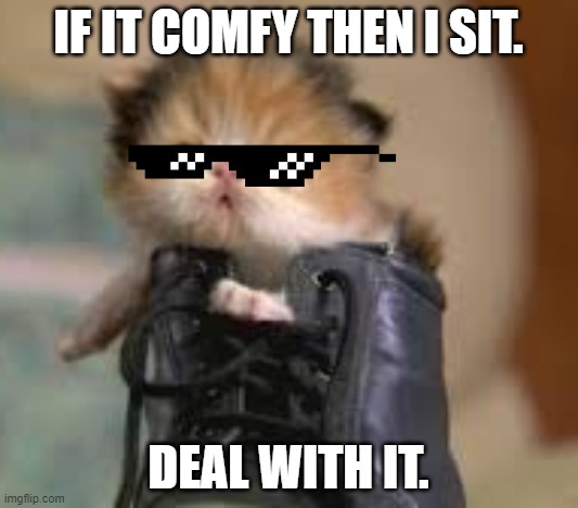 Deal With It | IF IT COMFY THEN I SIT. DEAL WITH IT. | image tagged in funny cats | made w/ Imgflip meme maker