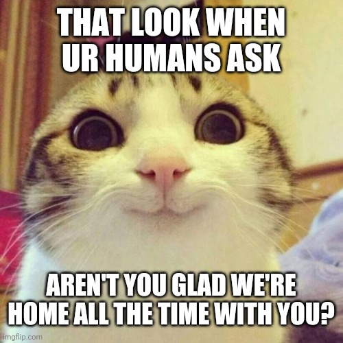 Smiling Cat | THAT LOOK WHEN UR HUMANS ASK; AREN'T YOU GLAD WE'RE HOME ALL THE TIME WITH YOU? | image tagged in memes,smiling cat | made w/ Imgflip meme maker