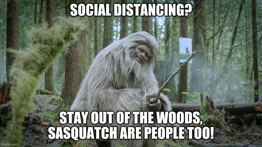 Sasquatch: Stay out of the woods | SOCIAL DISTANCING? STAY OUT OF THE WOODS,
SASQUATCH ARE PEOPLE TOO! | image tagged in sasquatch stay out of the woods | made w/ Imgflip meme maker