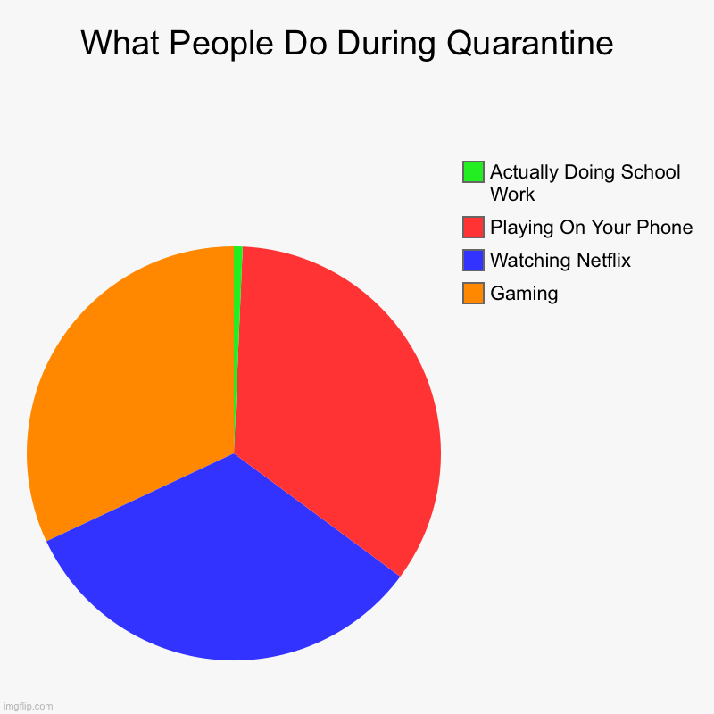 What People Do During Quarantine  | Gaming, Watching Netflix, Playing On Your Phone, Actually Doing School Work | image tagged in charts,pie charts | made w/ Imgflip chart maker