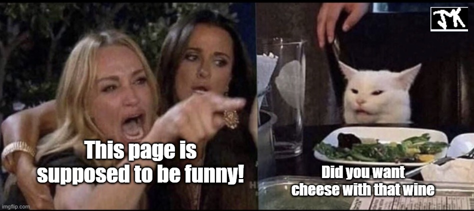 Karen Carpenter and Smudge Cat | This page is supposed to be funny! Did you want cheese with that wine | image tagged in karen carpenter and smudge cat | made w/ Imgflip meme maker