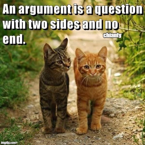 Argument | image tagged in question | made w/ Imgflip meme maker