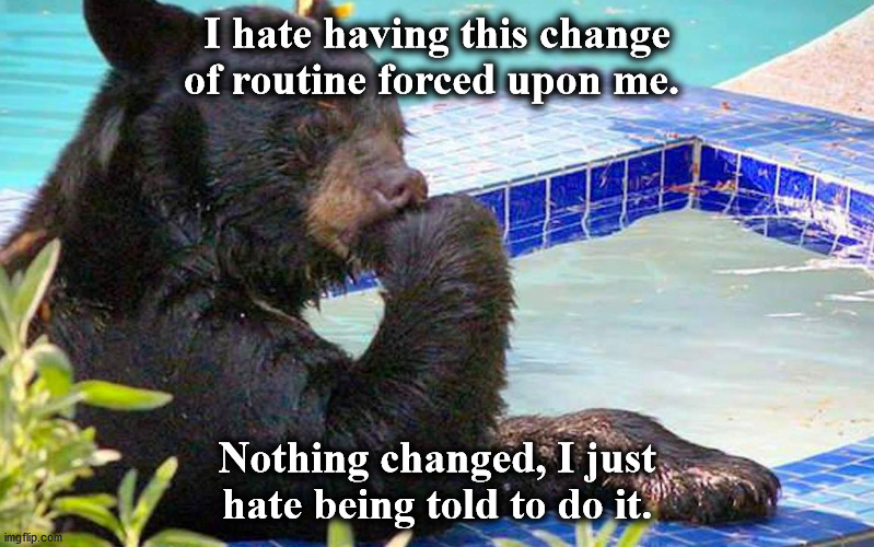 b | I hate having this change of routine forced upon me. Nothing changed, I just hate being told to do it. | image tagged in b | made w/ Imgflip meme maker