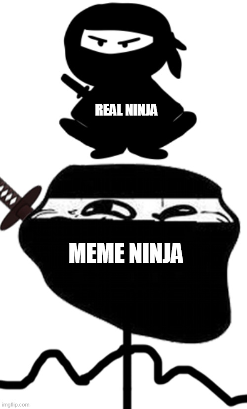 REAL NINJA; MEME NINJA | image tagged in ninjas | made w/ Imgflip meme maker