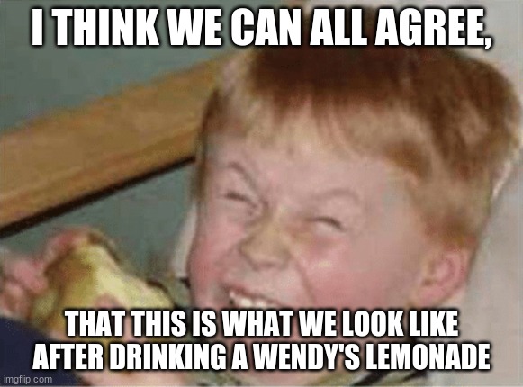 Ew, yuck |  I THINK WE CAN ALL AGREE, THAT THIS IS WHAT WE LOOK LIKE AFTER DRINKING A WENDY'S LEMONADE | image tagged in sour apple,grossed out alien | made w/ Imgflip meme maker