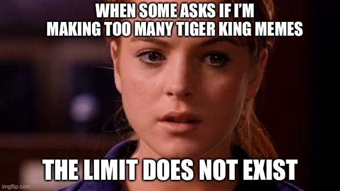 Limit does not exist mean girls | WHEN SOME ASKS IF I’M MAKING TOO MANY TIGER KING MEMES; THE LIMIT DOES NOT EXIST | image tagged in limit does not exist mean girls | made w/ Imgflip meme maker