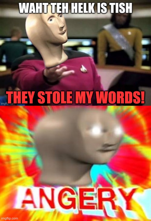 THEY STOLE MY WORDS! | made w/ Imgflip meme maker