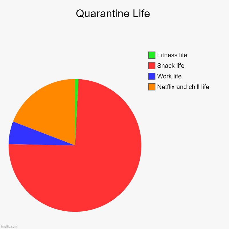 Quarantine Life | Netflix and chill life , Work life, Snack life, Fitness life | image tagged in charts,pie charts | made w/ Imgflip chart maker