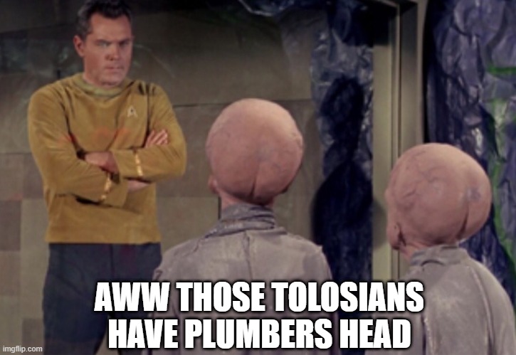 The Crack in Their Head | AWW THOSE TOLOSIANS HAVE PLUMBERS HEAD | image tagged in star trek aliens | made w/ Imgflip meme maker