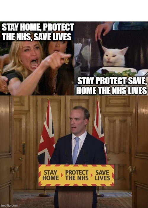 STAY HOME, PROTECT THE NHS, SAVE LIVES; STAY PROTECT SAVE,      HOME THE NHS LIVES | image tagged in memes,woman yelling at cat | made w/ Imgflip meme maker