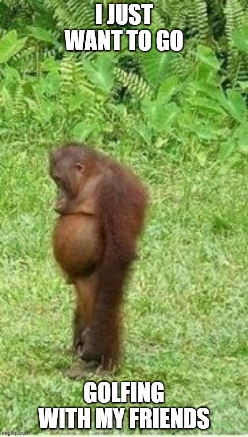 Sad orangutan | I JUST WANT TO GO; GOLFING WITH MY FRIENDS | image tagged in sad orangutan | made w/ Imgflip meme maker