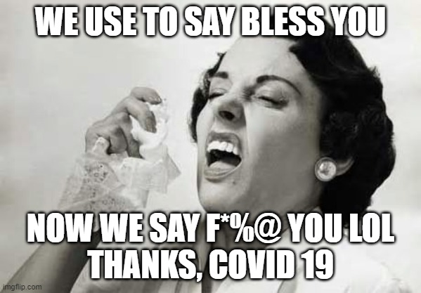 Sneezing  | WE USE TO SAY BLESS YOU; NOW WE SAY F*%@ YOU LOL
THANKS, COVID 19 | image tagged in sneezing | made w/ Imgflip meme maker