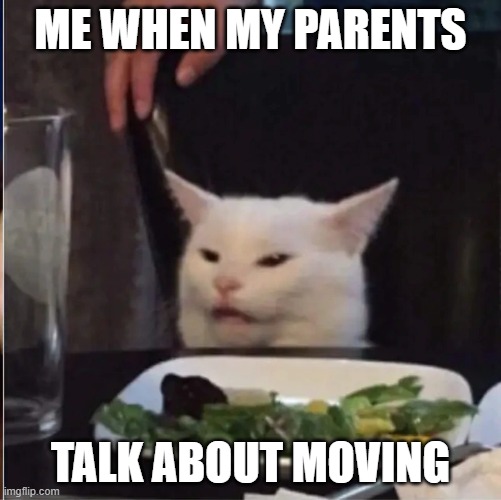 my childhood | ME WHEN MY PARENTS; TALK ABOUT MOVING | image tagged in memes | made w/ Imgflip meme maker