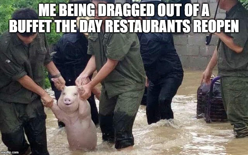 Buffet Day | ME BEING DRAGGED OUT OF A BUFFET THE DAY RESTAURANTS REOPEN | image tagged in coronavirus,pig,fat,food | made w/ Imgflip meme maker