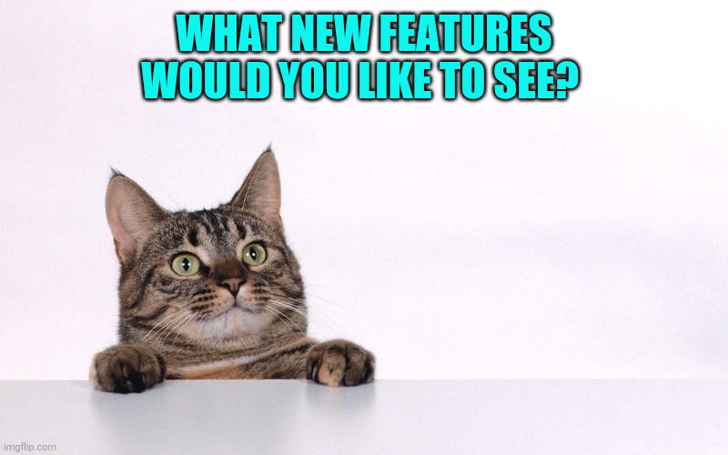 Curious cat | WHAT NEW FEATURES WOULD YOU LIKE TO SEE? | image tagged in curious cat | made w/ Imgflip meme maker