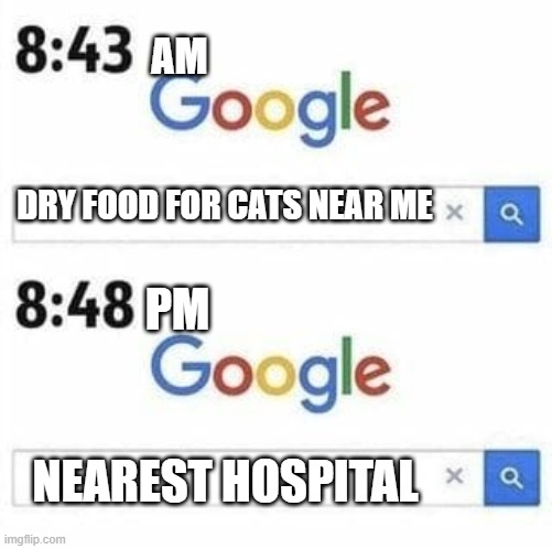 Google search | AM; DRY FOOD FOR CATS NEAR ME; PM; NEAREST HOSPITAL | image tagged in google search | made w/ Imgflip meme maker