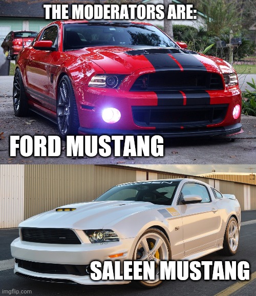 Moderator Mustangs! | THE MODERATORS ARE:; FORD MUSTANG; SALEEN MUSTANG | image tagged in mustang,ford,saleen | made w/ Imgflip meme maker