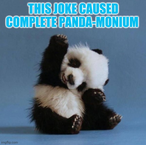 Panda | THIS JOKE CAUSED COMPLETE PANDA-MONIUM | image tagged in panda | made w/ Imgflip meme maker