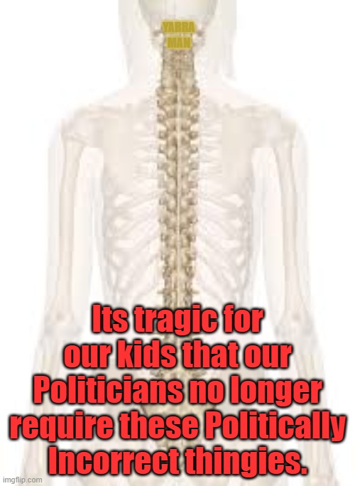 Spines for Politicians | YARRA MAN; Its tragic for our kids that our Politicians no longer require these Politically Incorrect thingies. | image tagged in spines for politicians | made w/ Imgflip meme maker