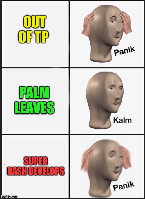 panik calm panik | OUT OF TP PALM LEAVES SUPER RASH DEVELOPS | image tagged in panik calm panik | made w/ Imgflip meme maker