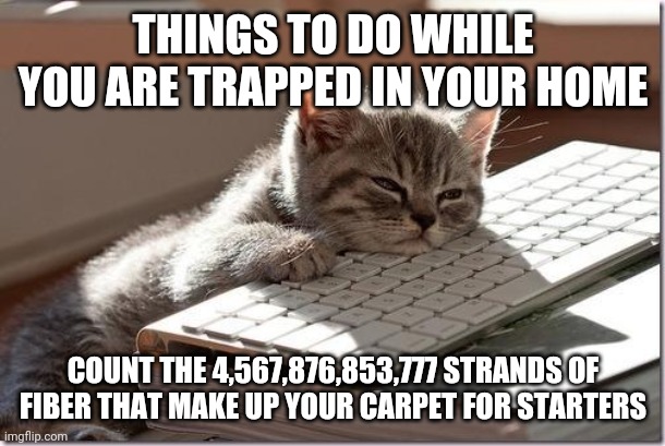 No boredom here. Nope | THINGS TO DO WHILE YOU ARE TRAPPED IN YOUR HOME; COUNT THE 4,567,876,853,777 STRANDS OF FIBER THAT MAKE UP YOUR CARPET FOR STARTERS | image tagged in bored keyboard cat,boredom,coronavirus | made w/ Imgflip meme maker