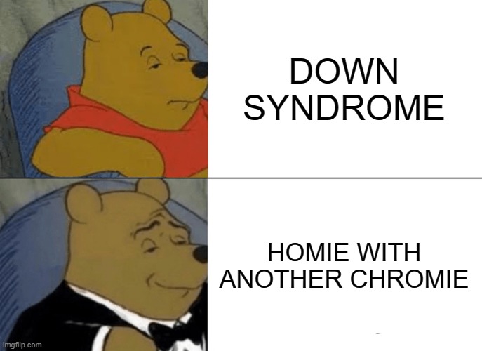 Tuxedo Winnie The Pooh | DOWN SYNDROME; HOMIE WITH ANOTHER CHROMIE | image tagged in memes,tuxedo winnie the pooh | made w/ Imgflip meme maker