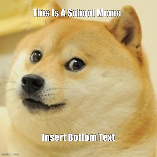 Doge Meme | This Is A School Meme; Insert Bottom Text | image tagged in memes,doge | made w/ Imgflip meme maker