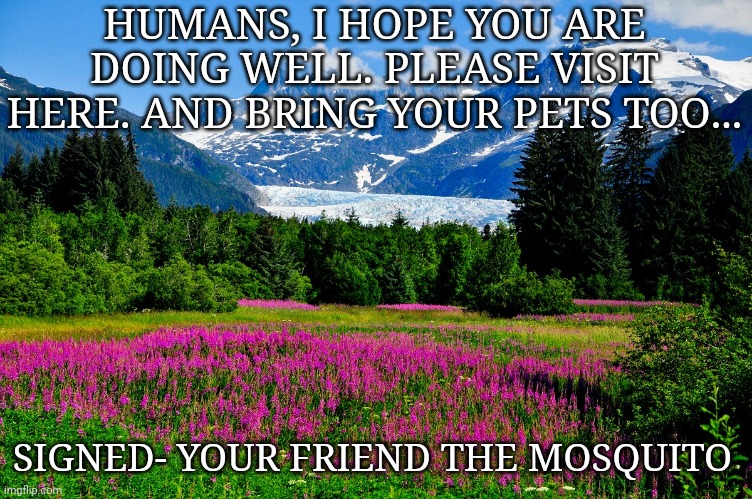 Why insects must never be given internet access | HUMANS, I HOPE YOU ARE DOING WELL. PLEASE VISIT HERE. AND BRING YOUR PETS TOO... SIGNED- YOUR FRIEND THE MOSQUITO | image tagged in alaska landscape,insects,internet,travel | made w/ Imgflip meme maker