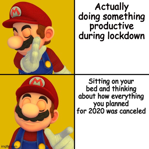 Mario/Drake template | Actually doing something productive during lockdown; Sitting on your bed and thinking about how everything you planned for 2020 was canceled | image tagged in mario/drake template | made w/ Imgflip meme maker