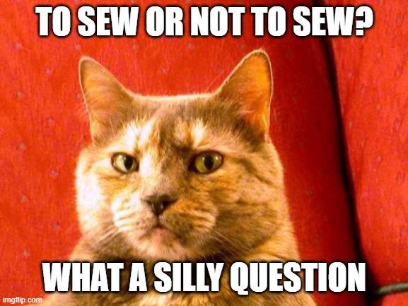 Suspicious Cat | TO SEW OR NOT TO SEW? WHAT A SILLY QUESTION | image tagged in memes,suspicious cat | made w/ Imgflip meme maker