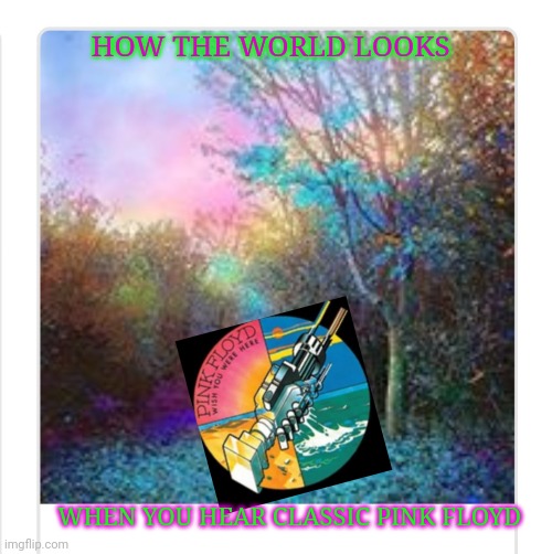 Wish You Were Here | HOW THE WORLD LOOKS; WHEN YOU HEAR CLASSIC PINK FLOYD | image tagged in psychedelic,pink floyd,classic rock,far side,cool cat stroll | made w/ Imgflip meme maker