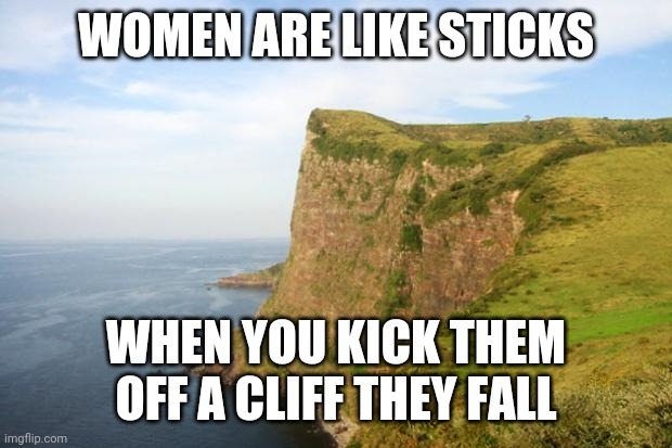 cliff | WOMEN ARE LIKE STICKS; WHEN YOU KICK THEM OFF A CLIFF THEY FALL | image tagged in cliff | made w/ Imgflip meme maker