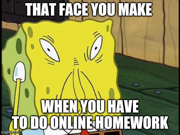 It Sucks >:( | THAT FACE YOU MAKE; WHEN YOU HAVE TO DO ONLINE HOMEWORK | image tagged in that face you make when you see your girl without makeup | made w/ Imgflip meme maker