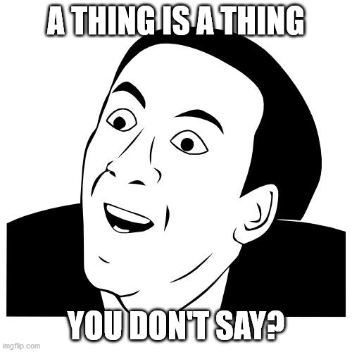 you don't say | A THING IS A THING; YOU DON'T SAY? | image tagged in you don't say | made w/ Imgflip meme maker