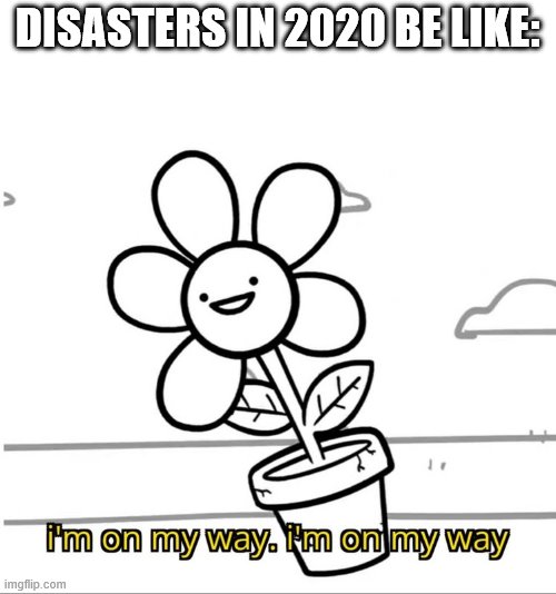 I Wonder What Will Happen Next | DISASTERS IN 2020 BE LIKE: | image tagged in 2020,disaster | made w/ Imgflip meme maker