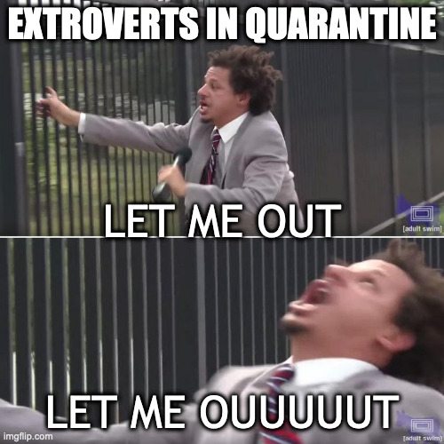 Eric Andre Let Me In (blank) | EXTROVERTS IN QUARANTINE; LET ME OUT; LET ME OUUUUUT | image tagged in eric andre let me in blank | made w/ Imgflip meme maker