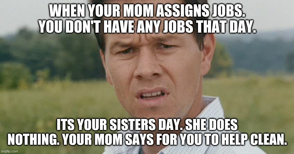 WHEN YOUR MOM ASSIGNS JOBS. YOU DON'T HAVE ANY JOBS THAT DAY. ITS YOUR SISTERS DAY. SHE DOES NOTHING. YOUR MOM SAYS FOR YOU TO HELP CLEAN. | image tagged in memes,funny | made w/ Imgflip meme maker